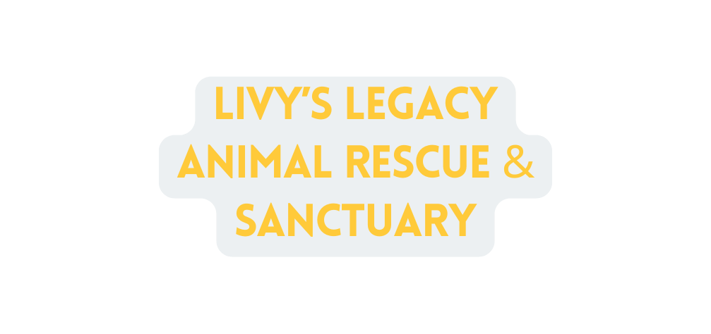 Livy s Legacy Animal Rescue Sanctuary